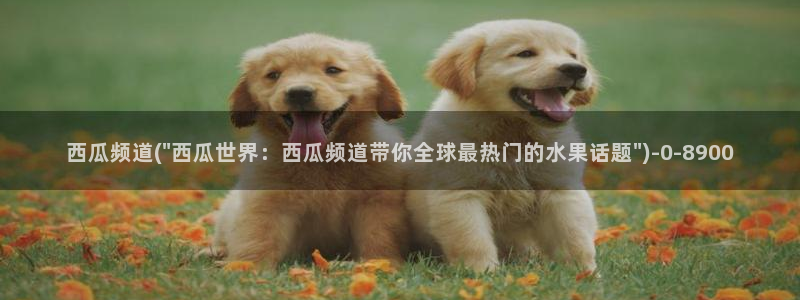 那年花开月正圆免费观看西瓜影院