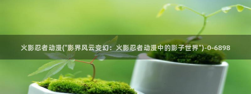 同性动漫：火影忍者动漫(\