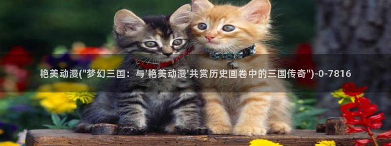 邪恶动漫