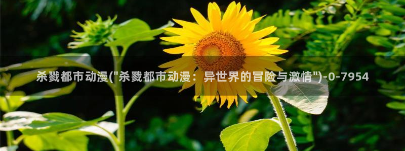 斗罗大陆动漫免费观看